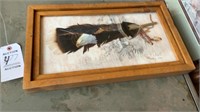 Framed Art, Painted Feather