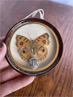 Enesco Framed Butterfly