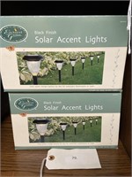 Solar accent lights