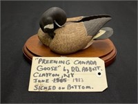 Preening Canadian Goose by D.D. Abbott