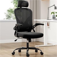 Farini Ergonomic Office Chair  Black