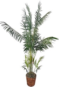 Potted Artificial Palm Tree