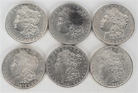 6- MORGAN SILVER DOLLARS