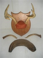 Antlers, Ram Horn