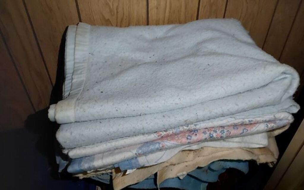 CONTENTS OF CLOSET- BEDDING AND LINENS