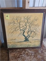 Framed Tree picture