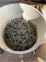 Bucket w/ nails