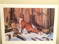 Out - Foxed Print 477 / 600 By Don Kloetzke