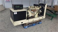KOLHER 300 Ford Motor, naural gas generator