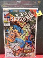 Web of Spiderman #48