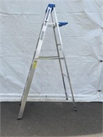 Werner 12' Step Ladder