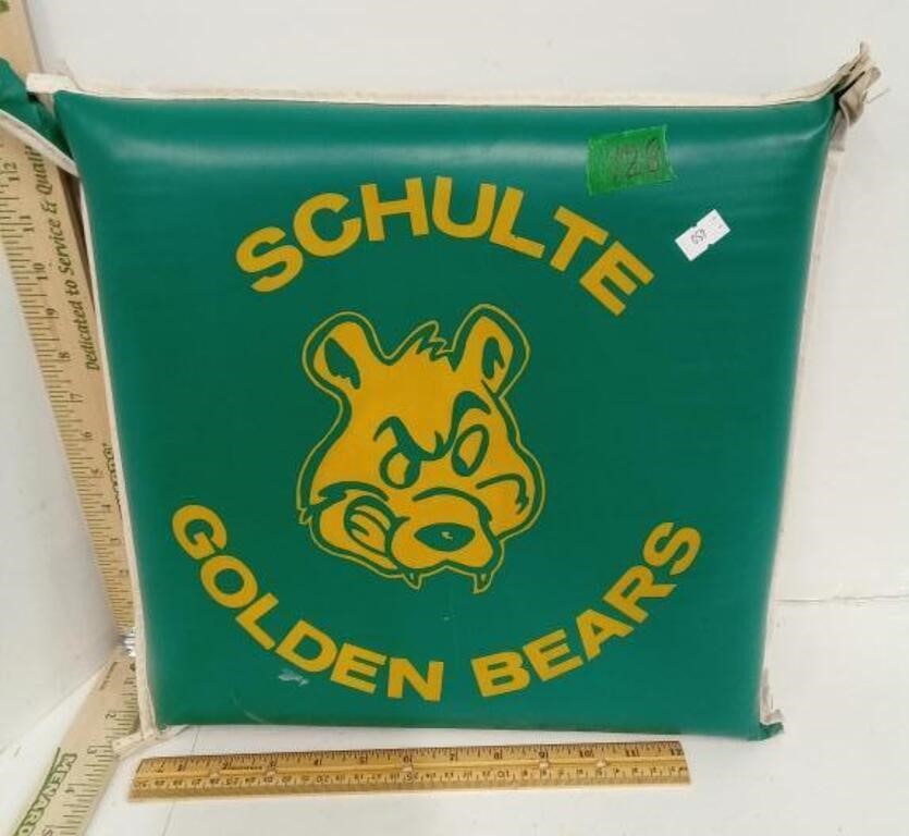 Schulte Golden Bears Cushion