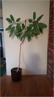 Indoor tree