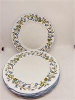 Shelley "Harebell 13590 Plates (5) pcs   8"