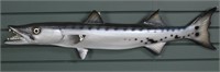 Barracuda Fish Taxidermy