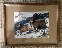 Big Horn Sheep Framed Print Winter Scene