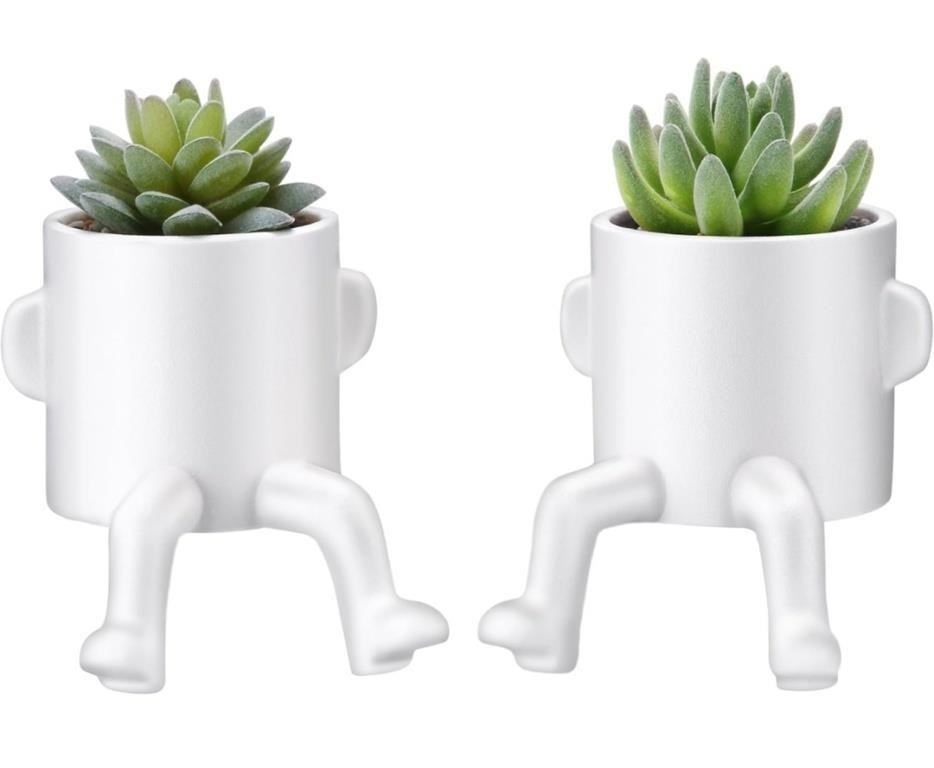 2 Fake Succulents in White Ceramic Pots