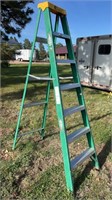 Davidson 7’ Fiberglass Ladder
