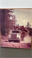 Logging truck pic