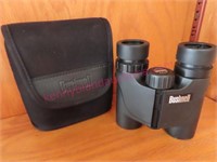 Bushnell small binoculars 10x25 (nice)