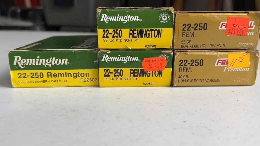 100 .22-250 Cartridges