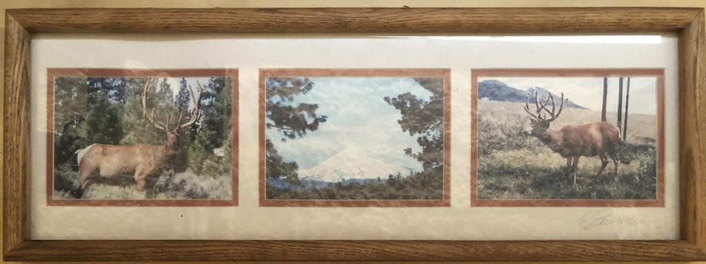 Signed Framed Oregon Wildlife & Scenic View Photos