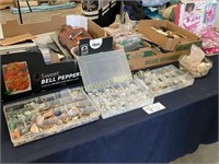 GEOLOGICAL SPECIMENS IN THREE ORGANIZING TRAYS