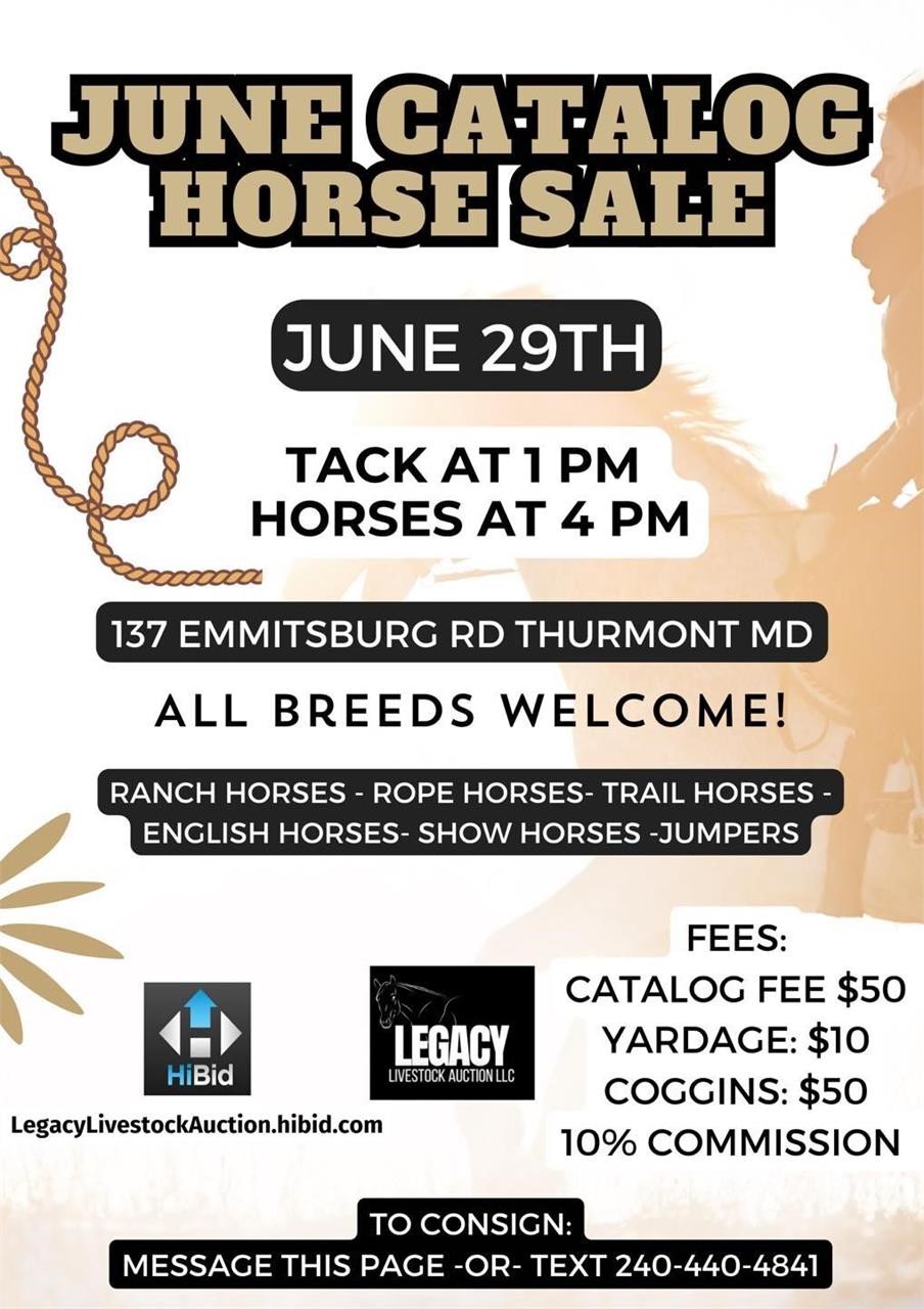 June Catalog Horse Sale