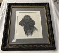 Framed & matted poodle, print or ink drawing?