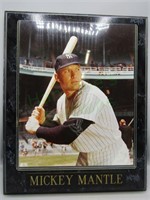 Mickey Mantle mounted picture plaque!