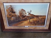 Deer picture framed