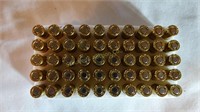 50- 25 ACP cal, 50 gr  Remington Center fire