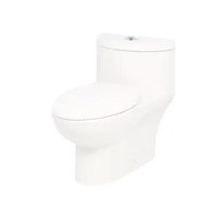 Tofino Complete 1-Piece Elongated Toilet