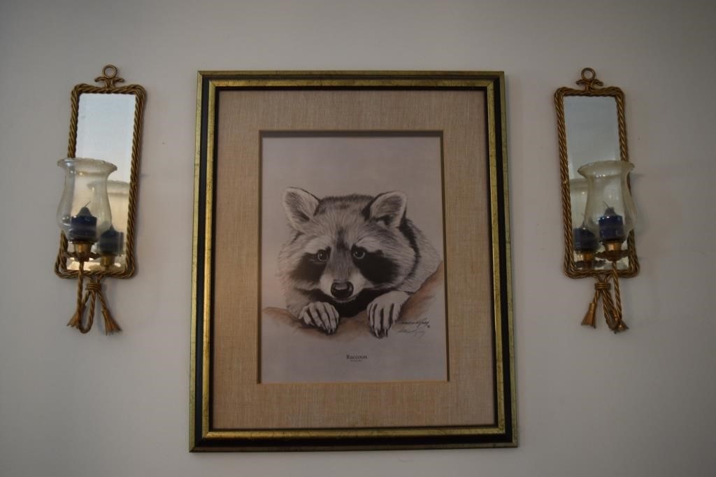 Matted Raccoon Picture & Mirrors 3 pcs