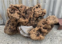 Awesome Large Manzanita Root & Intertwined Stone