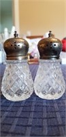 Glass and Metal Salt & Pepper Shakers