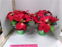 Foe Poinsettia Set