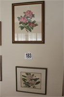 Two Framed A. Dowden Prints