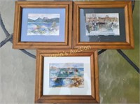 lot of 3 art prints by David Hopkins all framed