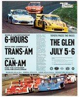 1980 WATKINS GLEN TRANS-AM RACING POSTER