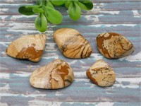 PICTURE JASPER ROCK STONE LAPIDARY SPECIMEN