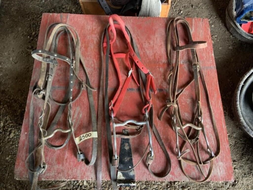 3 Leather Pony Bridles and Bits