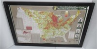 Framed Boone and Crockett map. Measures 30 1/4" H