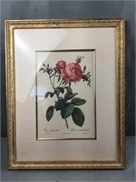 Framed rose painting