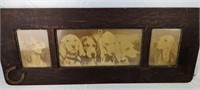 Antique Three Section Dog Pictures in Remarkable