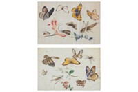 TWO FRAMED EXPORT PITH PAINTINGS OF INSECTS