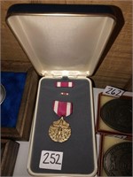 Medal Pin