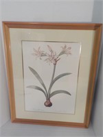 Botanical Print