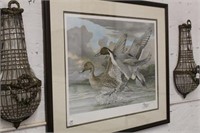 Triple matted, nicely framed "Pintail" Duck Print