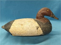 Holly Canvasback Decoy look at pictures